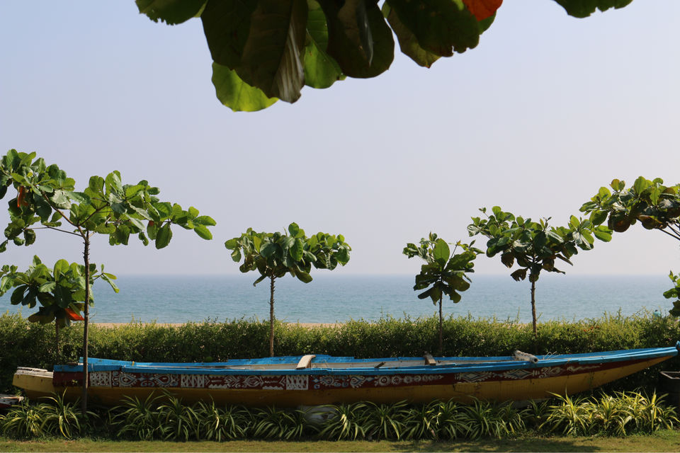 Photo of Odisha Odyssey- Sunny Skies, Sun-baked Beaches And The Sun Temple. by Shubhangi Jeswal