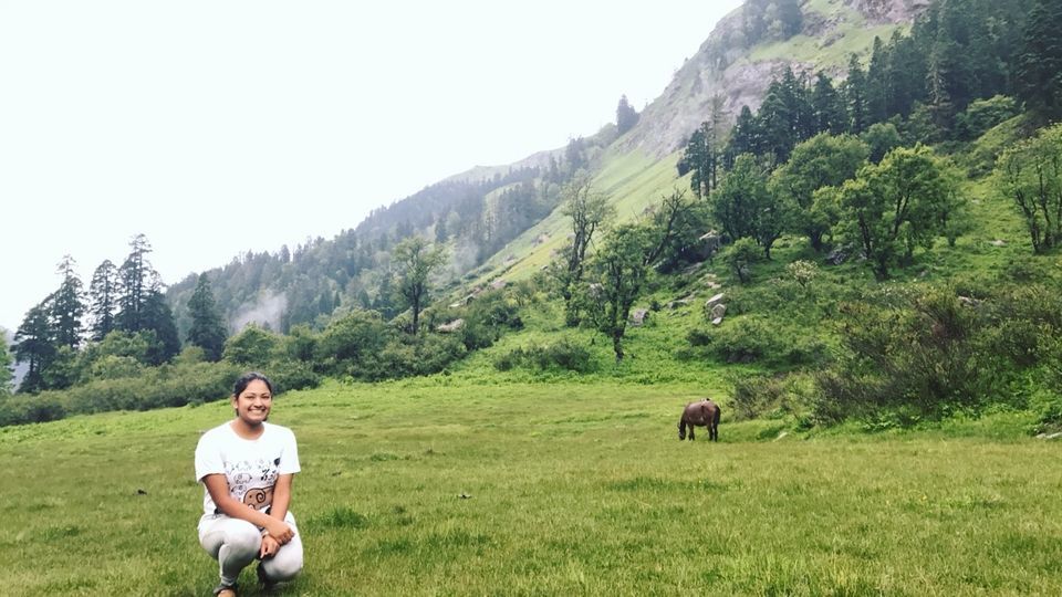 Photo of Sankri, Uttarakhand, India by Shubhangi Jeswal