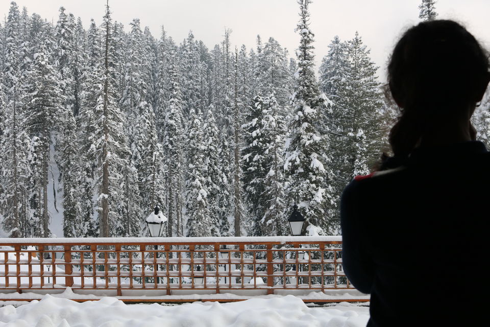 Photo of A Lavish Escape to the Heaven on Earth- Kashmir at Its Best in Winters by Shubhangi Jeswal