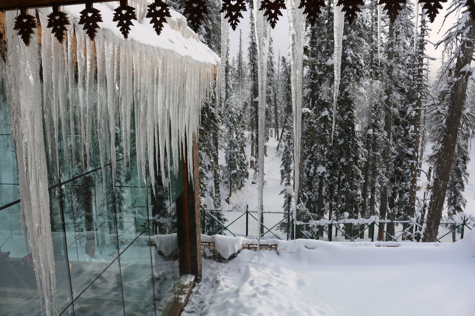 Photo of A Lavish Escape to the Heaven on Earth- Kashmir at Its Best in Winters by Shubhangi Jeswal