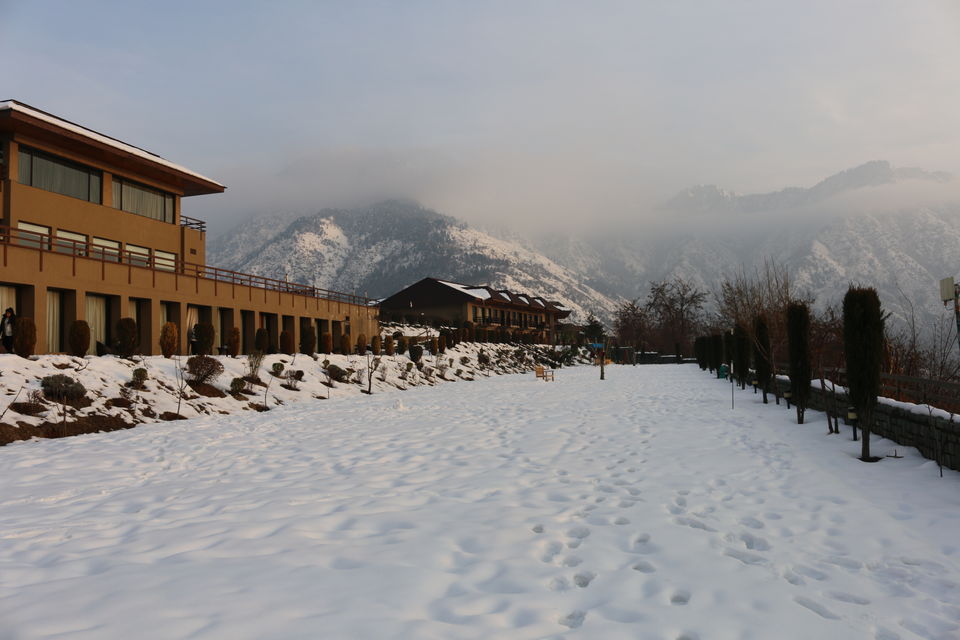 Photo of A Lavish Escape to the Heaven on Earth- Kashmir at Its Best in Winters by Shubhangi Jeswal