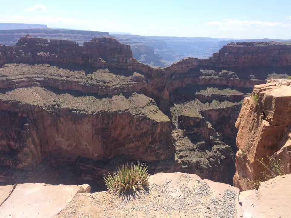 Photo of Grand Canyon National Park, Coconino County, AZ, United States by Shubhangi Jeswal