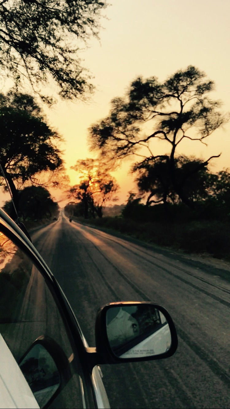 Photo of An Offbeat Pilgrimage Passage To 5 Jyotirlings In Maharashtra! by Shubhangi Jeswal