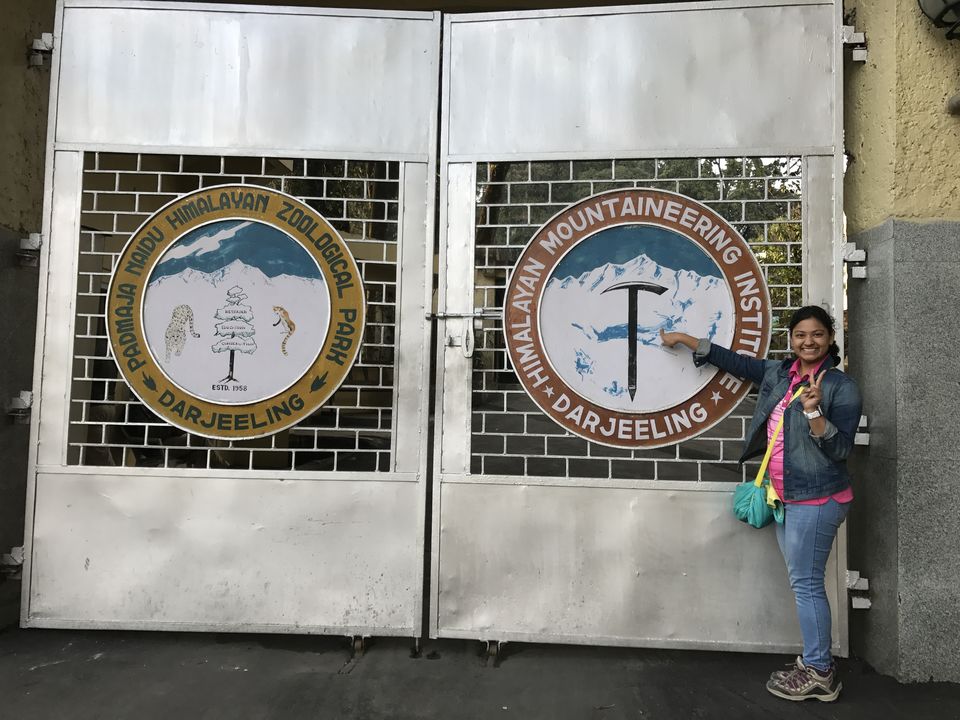 Photo of 28 Unforgettable Days At The Basic Mountaineering Course At HMI Darjeeling by Shubhangi Jeswal