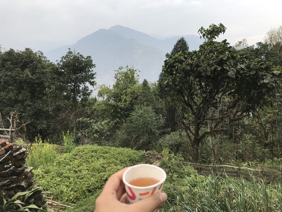 Photo of Splendours Of Sikkim- Exploring North And East Sikkim 3/3 by Shubhangi Jeswal