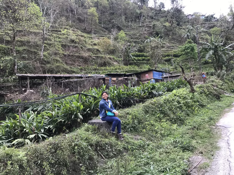 Photo of Splendours Of Sikkim- Exploring North And East Sikkim by Shubhangi Jeswal