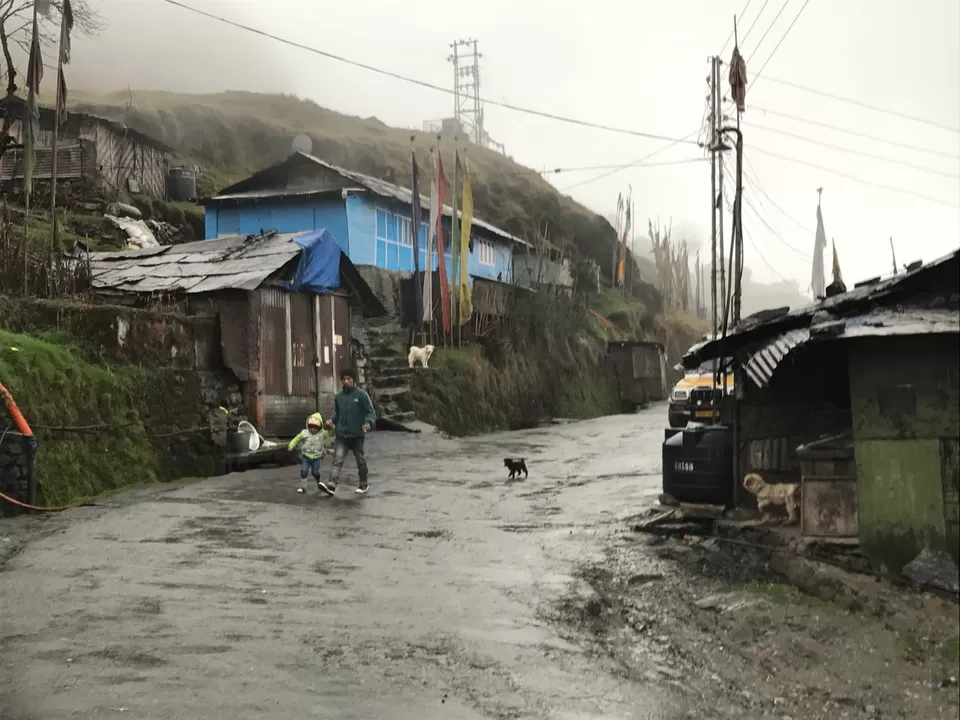 Photo of Splendours Of Sikkim- Exploring North And East Sikkim by Shubhangi Jeswal