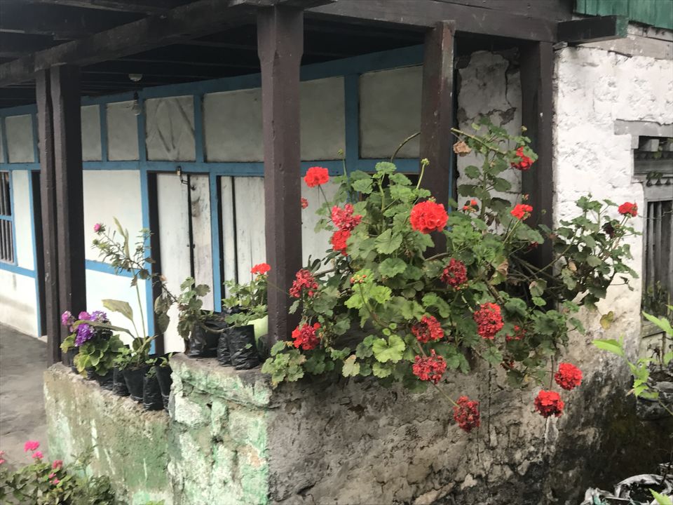 Photo of Splendours Of Sikkim- Exploring North And East Sikkim by Shubhangi Jeswal