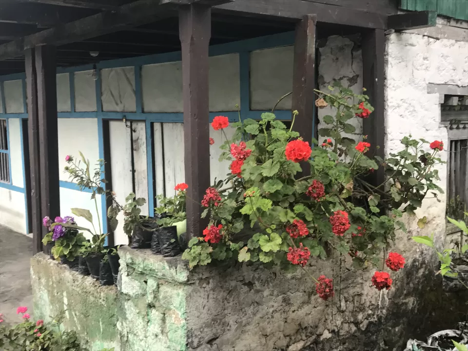 Photo of Splendours Of Sikkim- Exploring North And East Sikkim by Shubhangi Jeswal