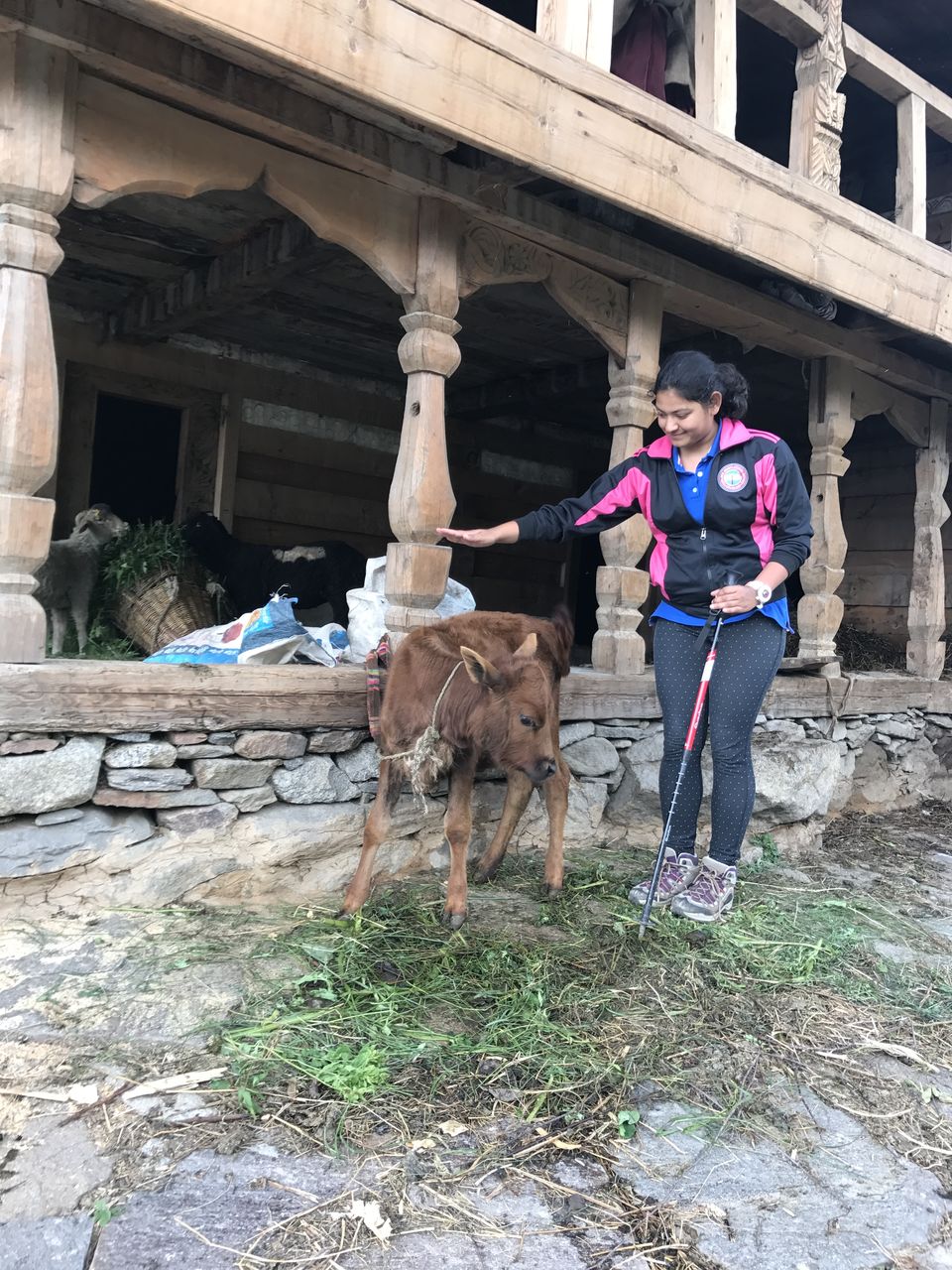 Photo of Story Of Osla: A Hidden Village Like Malana Far From The Eyes Of The Indian Government 12/17 by Shubhangi Jeswal