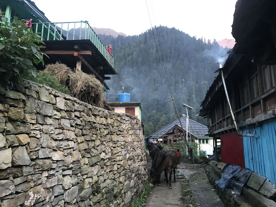 Photo of Grahan- Village That Is Home To The Israelis by Shubhangi Jeswal