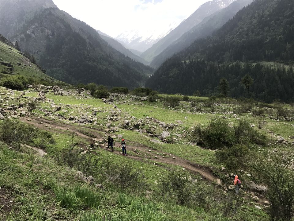Photo of Sankri, Uttarakhand, India by Shubhangi Jeswal
