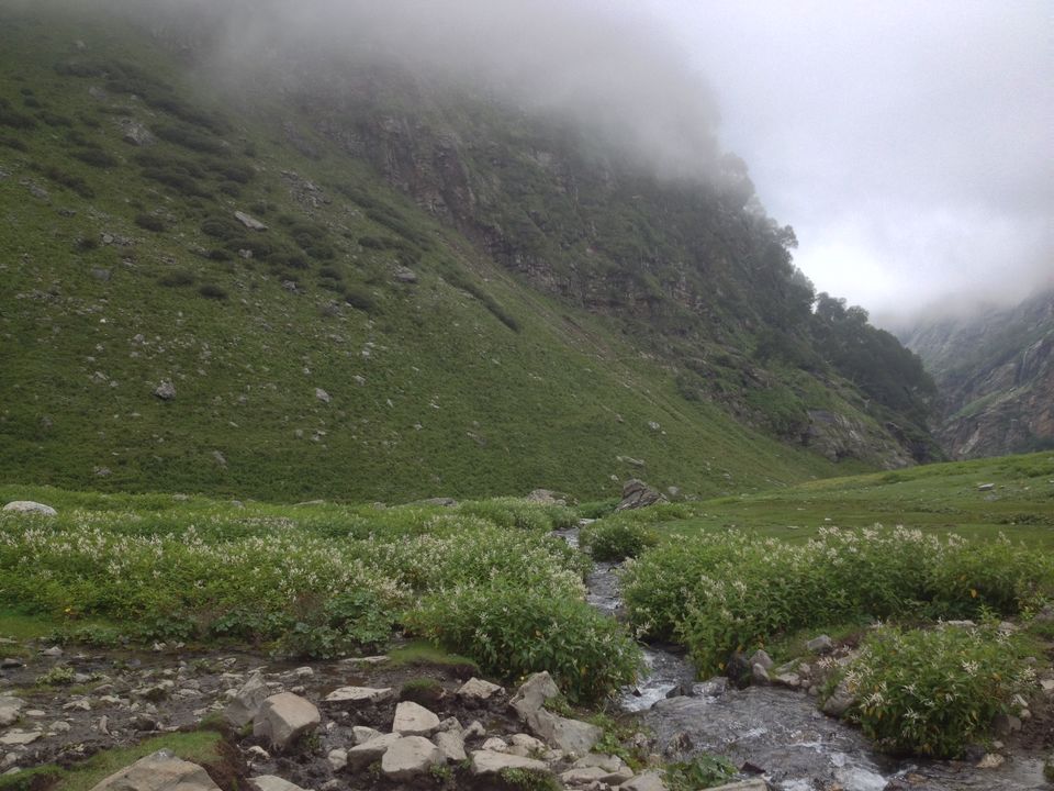 Photo of Hampta Pass Trek : A Complete Guide #HamptaPass #chandrataal #Himachal #Himalayas 6/12 by Abhishek