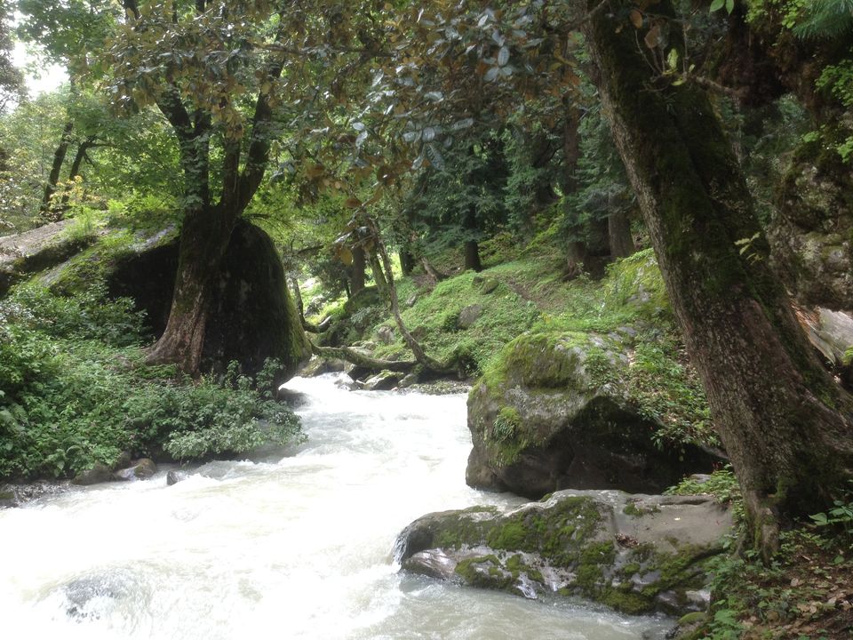 Photo of Hampta Pass Trek : A Complete Guide #HamptaPass #chandrataal #Himachal #Himalayas 2/12 by Abhishek
