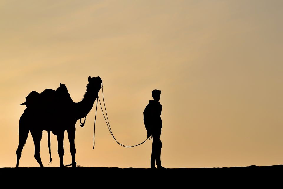 Photo of Rajasthan, India by Rohit Shrivastava