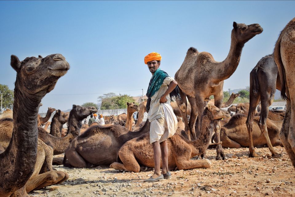 Photo of Rajasthan, India by Rohit Shrivastava