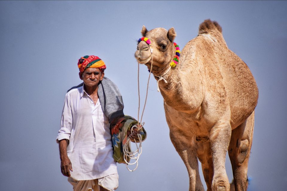 Photo of Rajasthan, India by Rohit Shrivastava