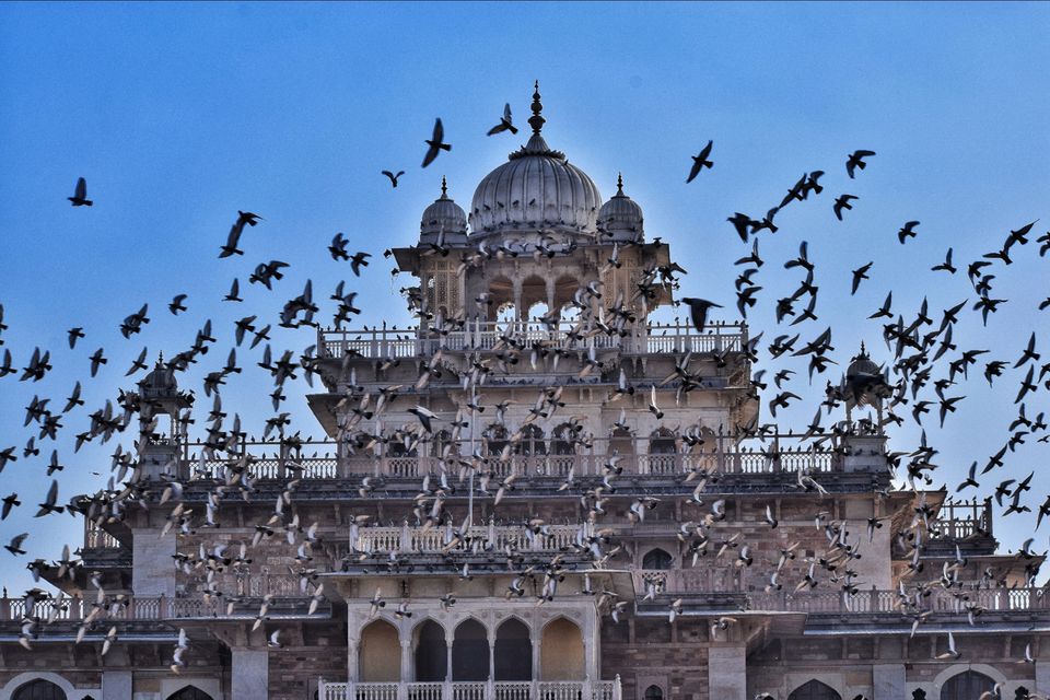 Photo of Rajasthan, India by Rohit Shrivastava