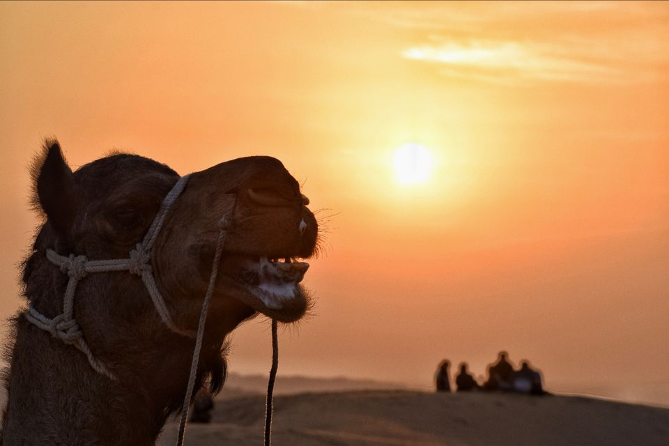 Photo of Rajasthan, India by Rohit Shrivastava