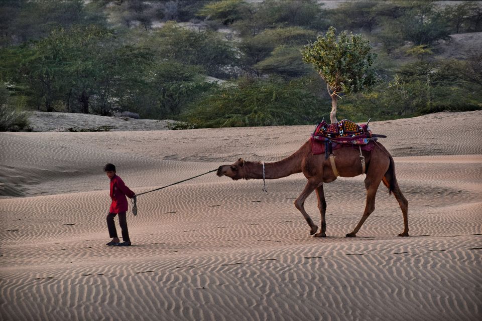 Photo of Rajasthan, India by Rohit Shrivastava