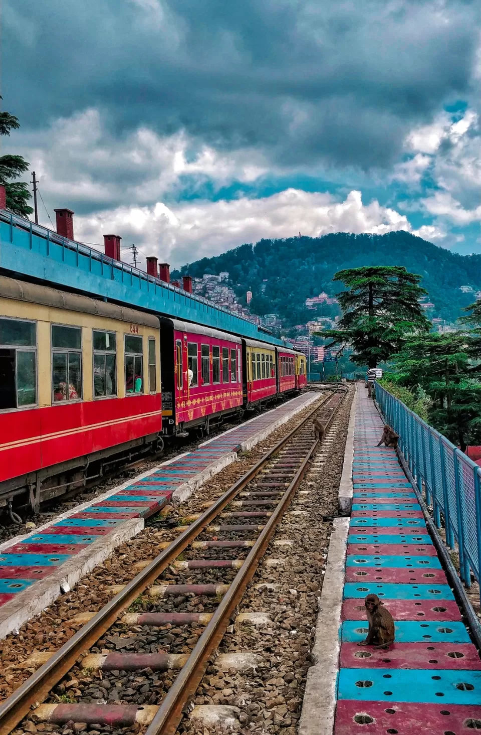 Photo of Shimla The Queen of Hills by Rohit Shrivastava