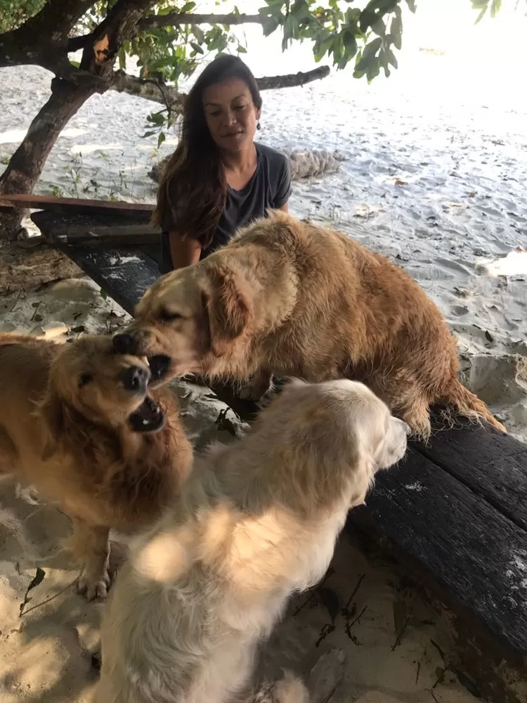Photo of Full moon cafe, India by Niharika Jain