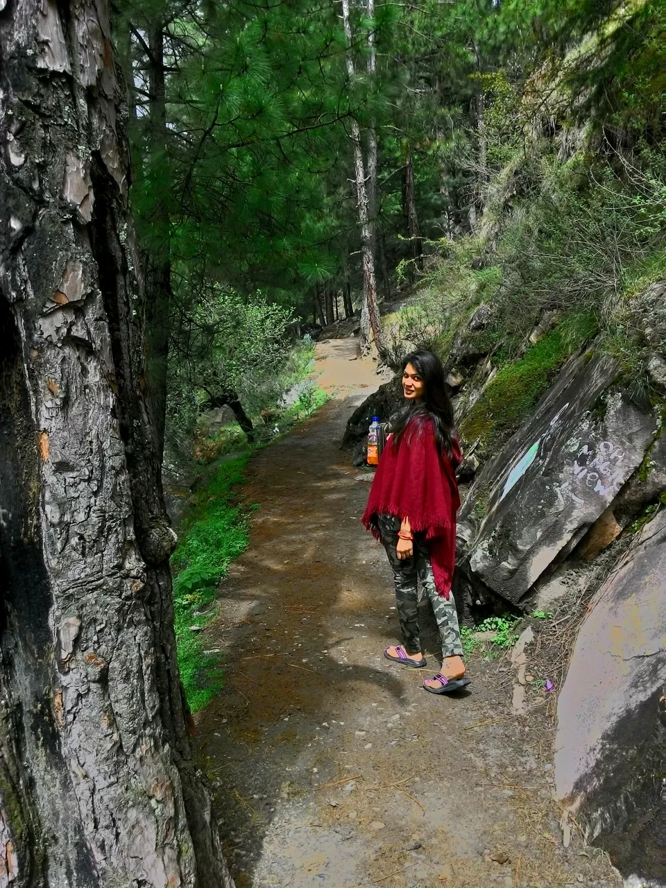 Photo of the trek - walking in the woods by juhi shah
