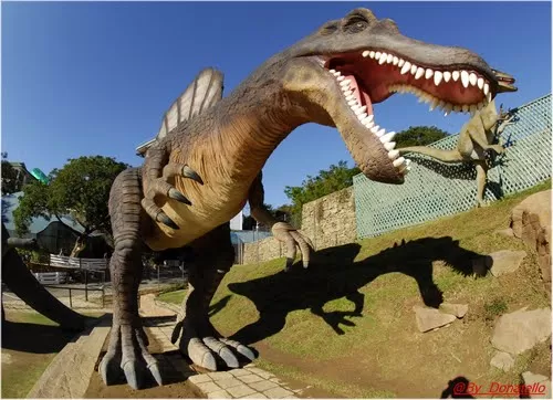 Photo of Baluarte Zoo Foundation, Incorporated, Vigan City, Ilocos Region, Philippines by Aian Mejillano