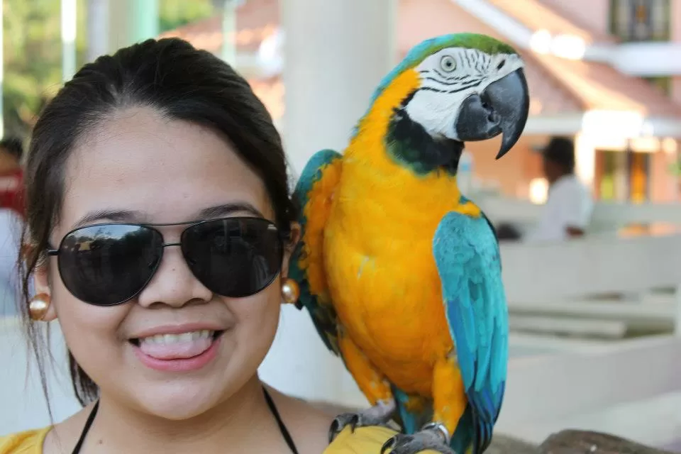 Photo of Baluarte Zoo Foundation, Incorporated, Vigan City, Ilocos Region, Philippines by Aian Mejillano