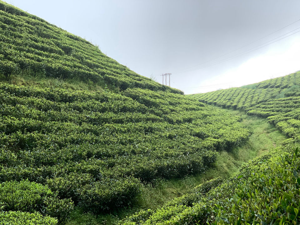 Photo of Darjeeling- A Nostalgic Hill Station by Arnab Sarkar