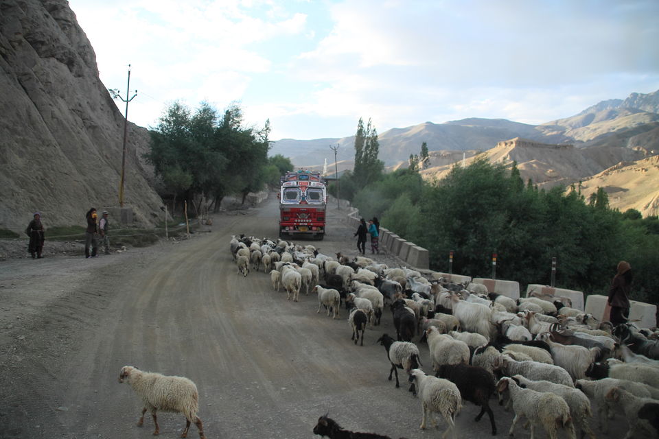 Photo of Leh by Arnab Sarkar