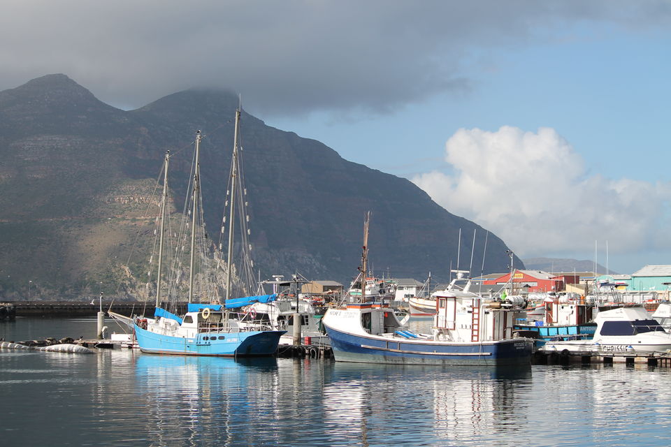 Photo of Hout Bay, Cape Town, South Africa by Arnab Sarkar