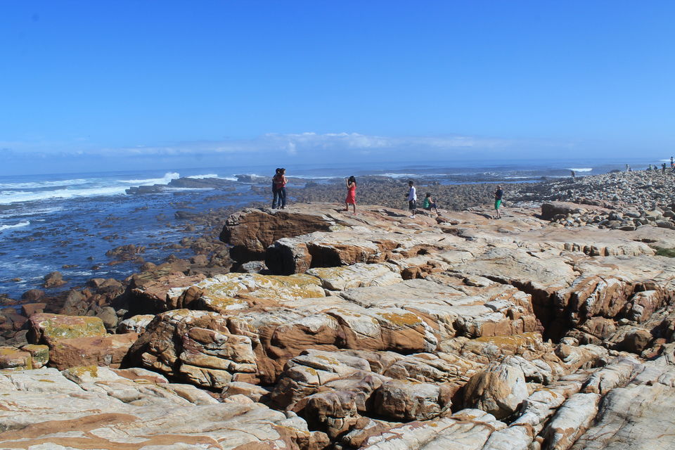 Photo of Cape Peninsula- A Memorable Day Trip with New Friends.. by Arnab Sarkar