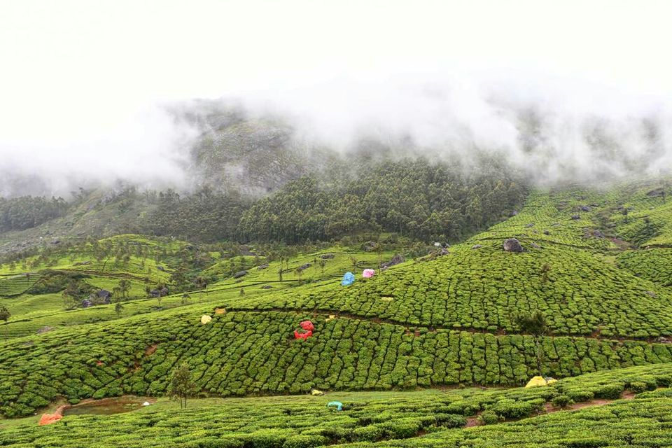 Photo of Munnar, Kerala, India by Aditya Rajput