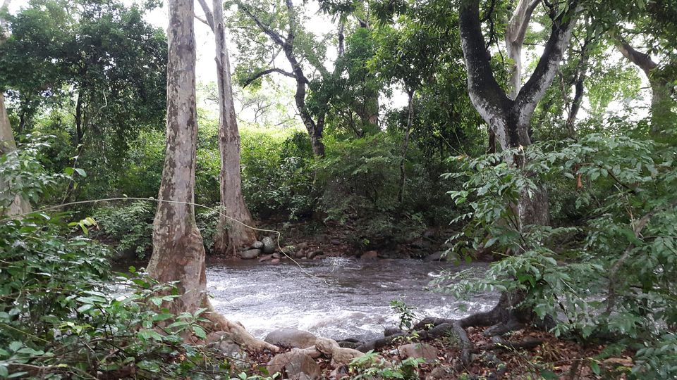 Photo of Solo Ride - Pune - Hosur - Kodaikanal - Munnar - Chinnar Wildlife Sanctuary - Pune by Aditya Rajput