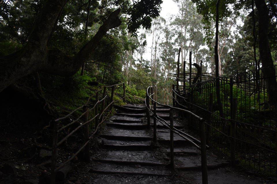 Photo of Solo Ride - Pune - Hosur - Kodaikanal - Munnar - Chinnar Wildlife Sanctuary - Pune by Aditya Rajput