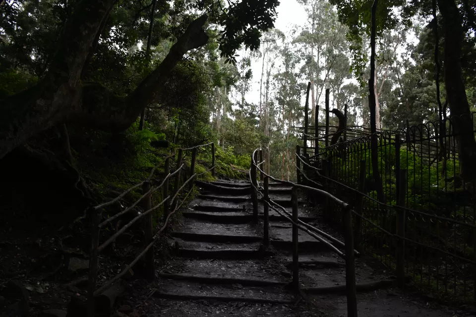 Photo of Solo Ride - Pune - Hosur - Kodaikanal - Munnar - Chinnar Wildlife Sanctuary - Pune by Aditya Rajput