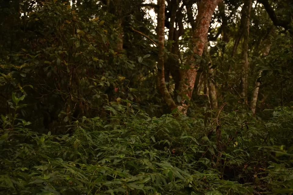 Photo of Solo Ride - Pune - Hosur - Kodaikanal - Munnar - Chinnar Wildlife Sanctuary - Pune by Aditya Rajput