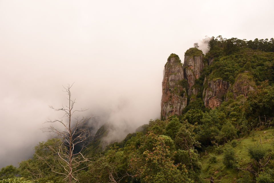 Photo of Solo Ride - Pune - Hosur - Kodaikanal - Munnar - Chinnar Wildlife Sanctuary - Pune by Aditya Rajput