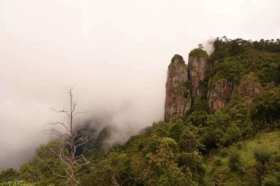 Photo of Solo Ride - Pune - Hosur - Kodaikanal - Munnar - Chinnar Wildlife Sanctuary - Pune by Aditya Rajput