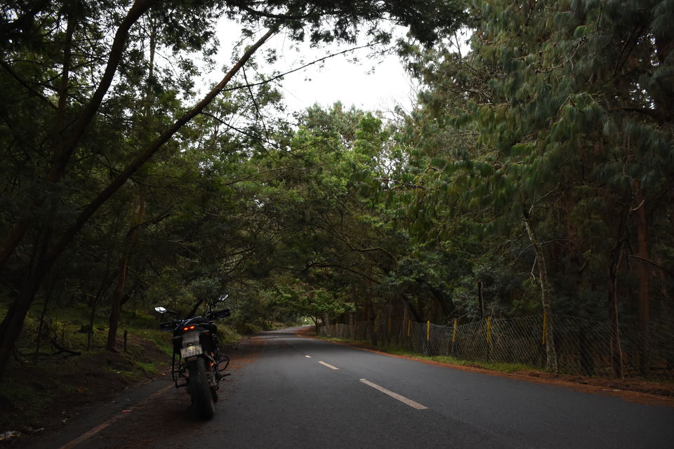 Photo of Solo Ride - Pune - Hosur - Kodaikanal - Munnar - Chinnar Wildlife Sanctuary - Pune by Aditya Rajput