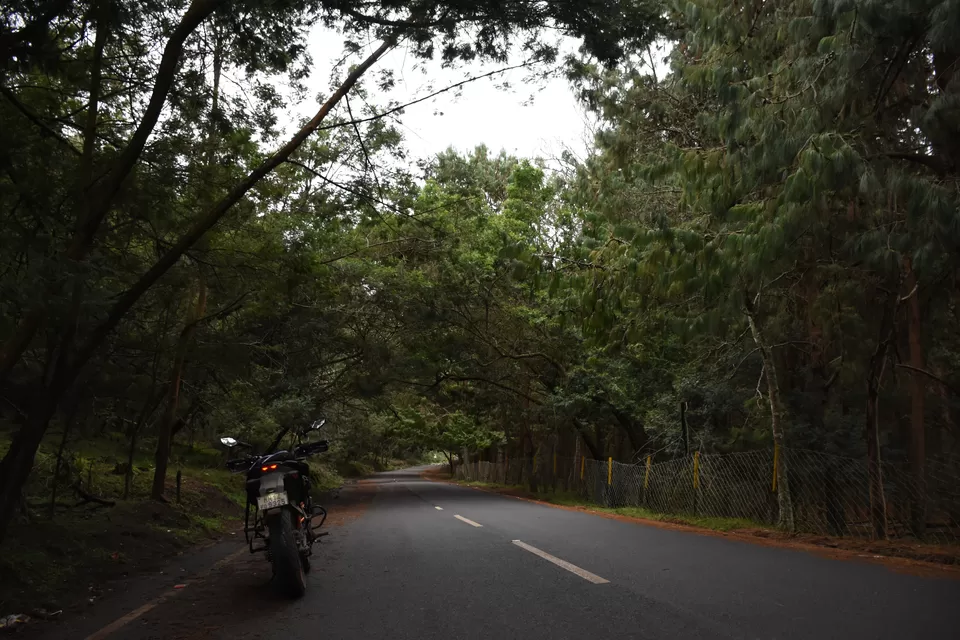Photo of Solo Ride - Pune - Hosur - Kodaikanal - Munnar - Chinnar Wildlife Sanctuary - Pune by Aditya Rajput