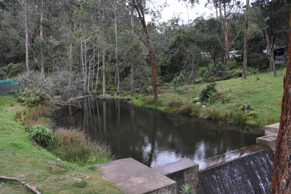 Photo of Solo Ride - Pune - Hosur - Kodaikanal - Munnar - Chinnar Wildlife Sanctuary - Pune by Aditya Rajput
