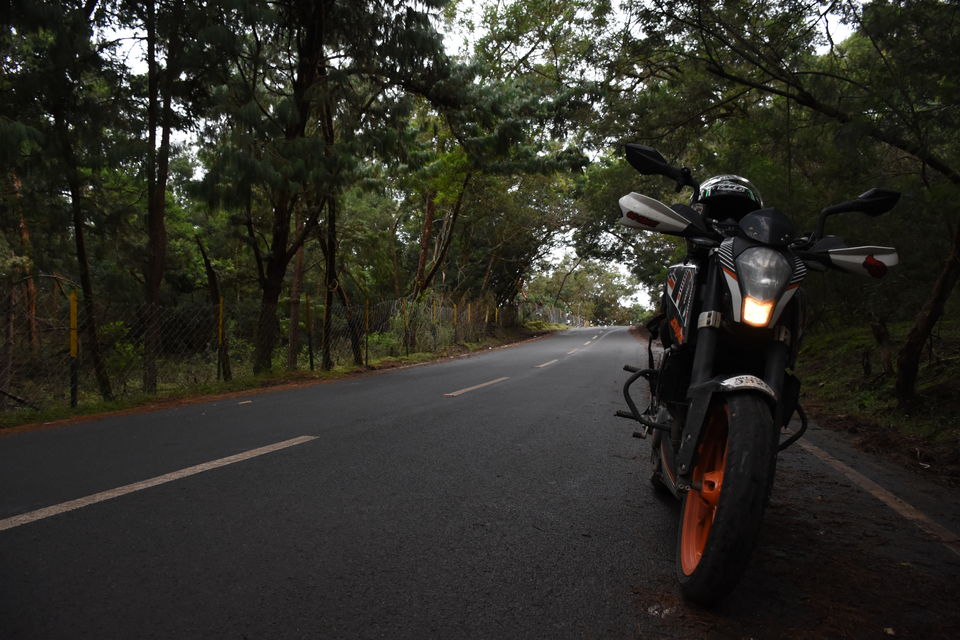 Photo of Solo Ride - Pune - Hosur - Kodaikanal - Munnar - Chinnar Wildlife Sanctuary - Pune by Aditya Rajput