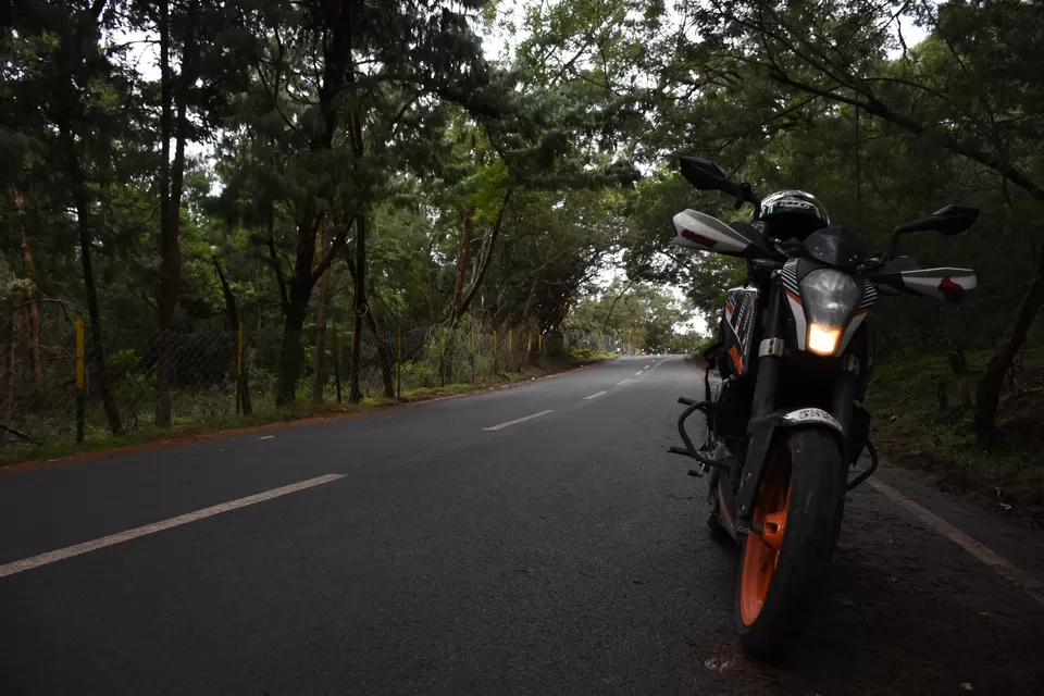 Photo of Solo Ride - Pune - Hosur - Kodaikanal - Munnar - Chinnar Wildlife Sanctuary - Pune by Aditya Rajput