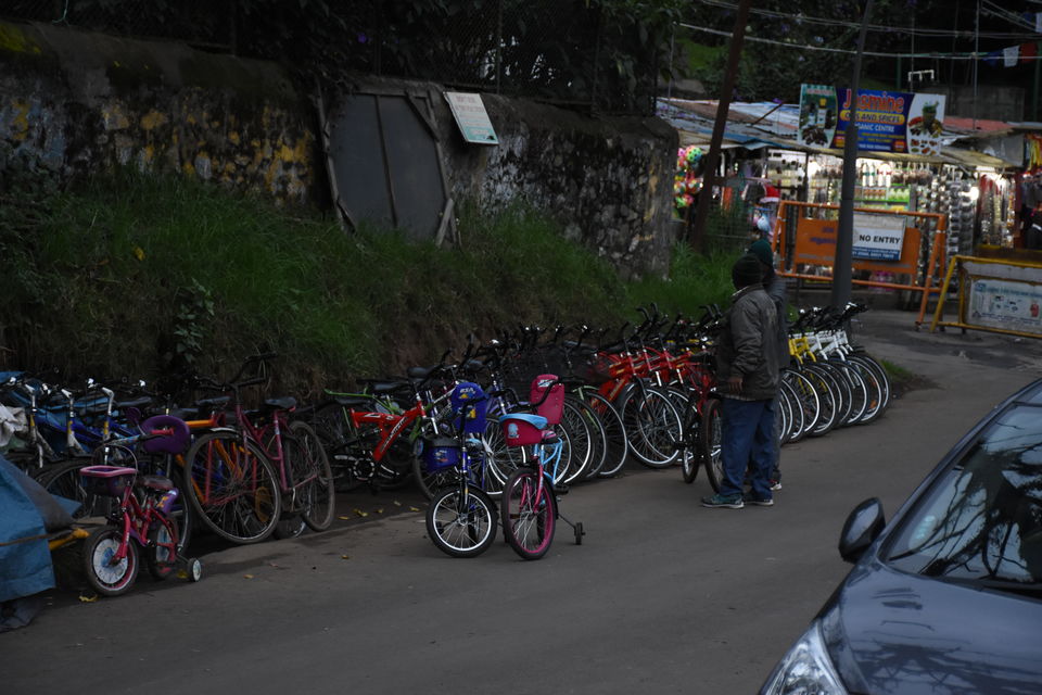Photo of Solo Ride - Pune - Hosur - Kodaikanal - Munnar - Chinnar Wildlife Sanctuary - Pune by Aditya Rajput