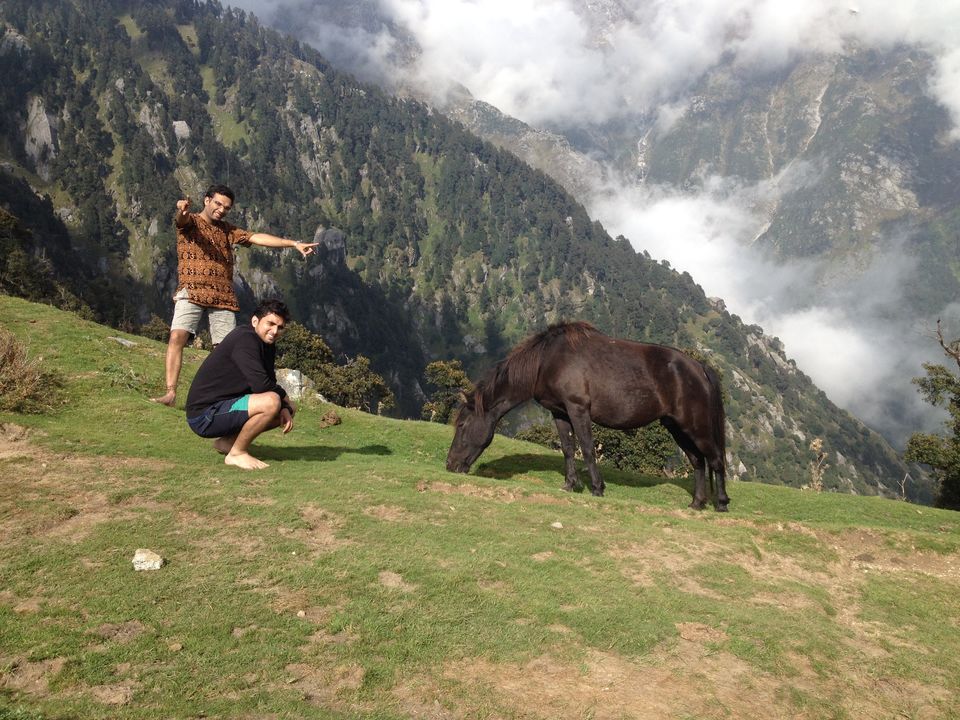 Photo of Destination Triund – McLeod Ganj Dharamshala “On Road” 4/10 by Prateek Yadav