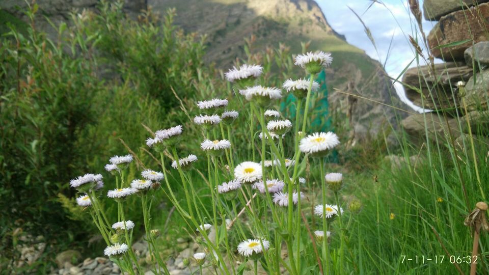 Photo of Baralacha La Pass, Himachal Pradesh by sikkimtravelhub