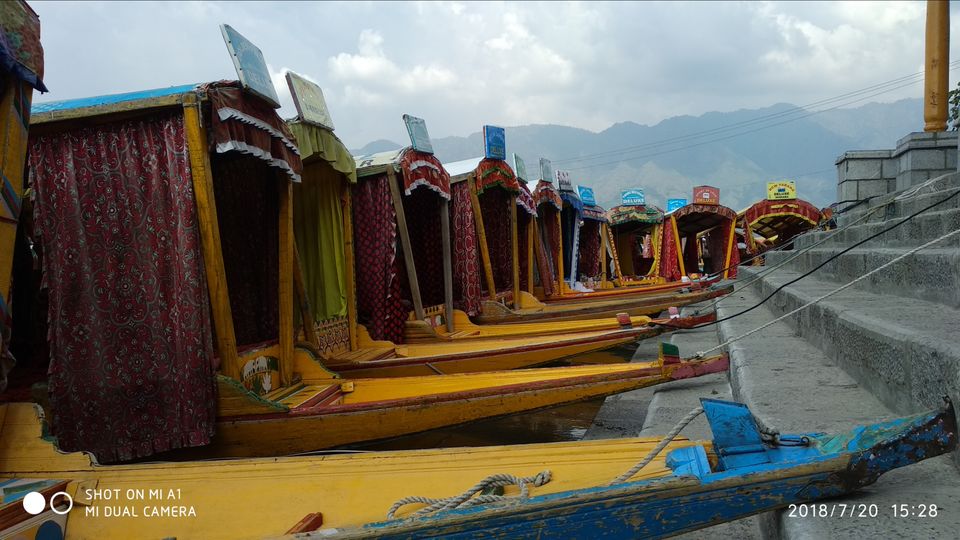 Photo of Dal Lake, Srinagar by sikkimtravelhub