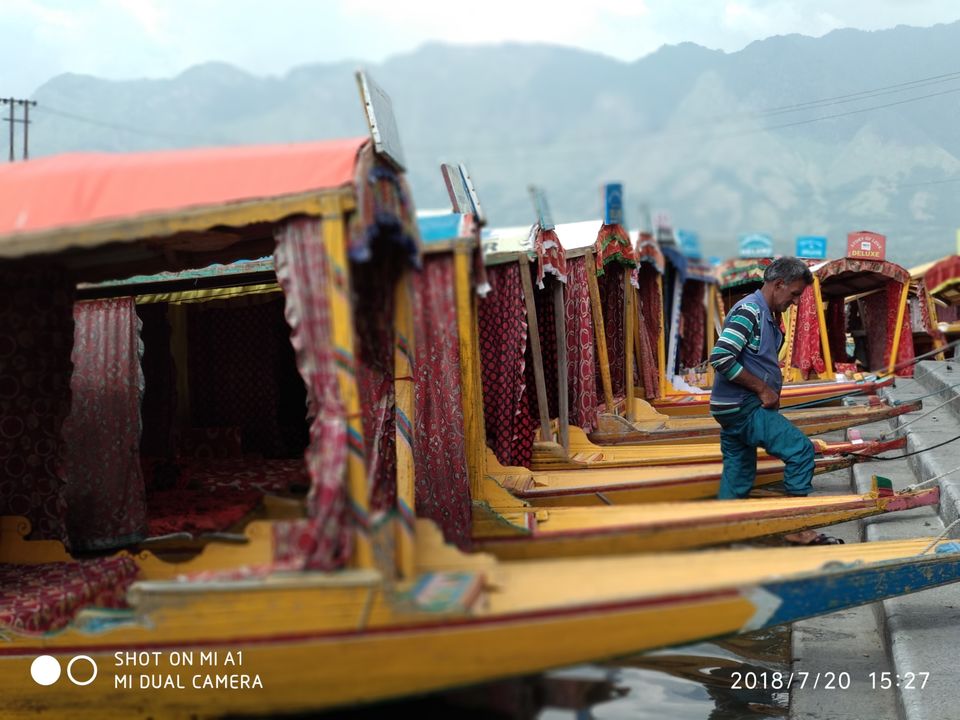 Photo of Dal Lake, Srinagar by sikkimtravelhub